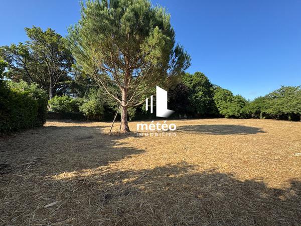 Dépendance 130m² en pierre sur grand terrain – Luçon