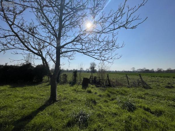 Maison à vendre à Sillé-le-Philippe dans la Sarthe (72460), ref : 72033-438