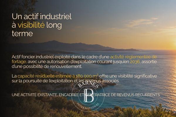 Ajaccio, Entreprise  15 163 m² à vendre