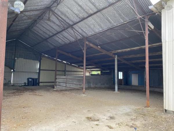 Achat - Maison Rives-du-Loir-en-Anjou 49140 6 pièces 159 m 2 3225 m 2