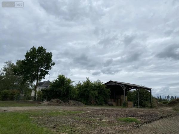 Achat - Maison Rives-du-Loir-en-Anjou 49140 6 pièces 159 m 2 3225 m 2