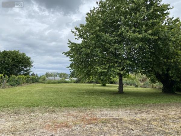 Achat - Maison Rives-du-Loir-en-Anjou 49140 6 pièces 159 m 2 3225 m 2