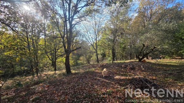 Maison au fau Montauban (82) - 160 m2 , 4 chambres , jardin