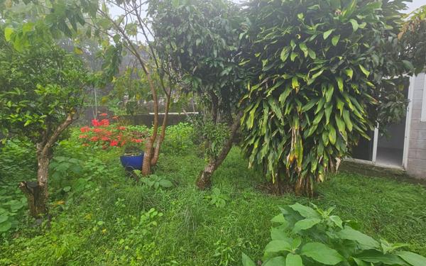 Maison à vendre    4 pièces • 145 m2 Les Avirons