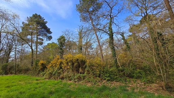 Maison sur sous sol proche nature