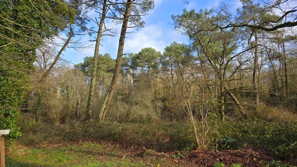 Maison sur sous sol proche nature