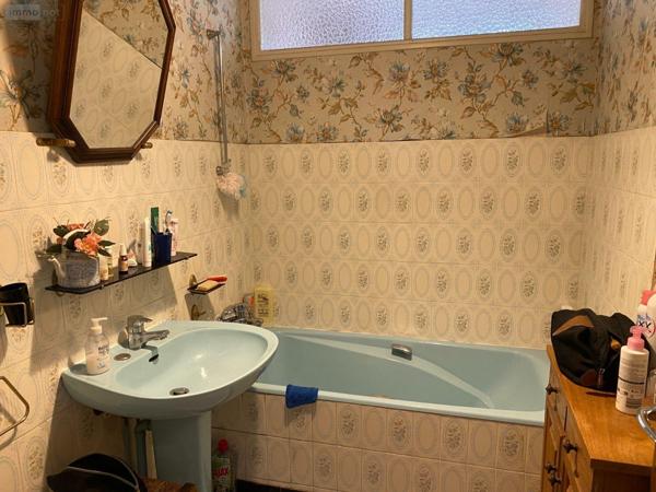Pavillon à vendre à Châtillon-sur-Indre dans l'Indre (36700), ref : 1052221