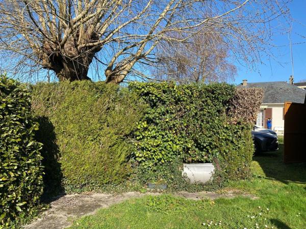 Pavillon à vendre à Châtillon-sur-Indre dans l'Indre (36700), ref : 1052221