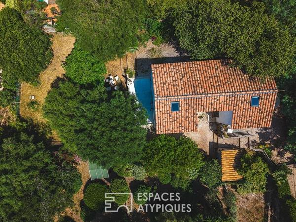 Maison d’artiste et son écrin végétal