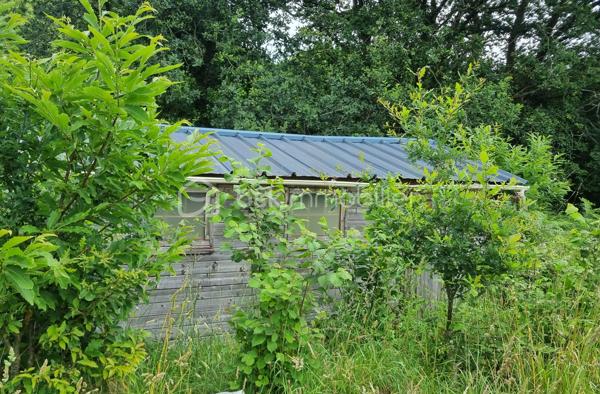 En exclusivité, terrain agricole d’environ 1 Ha 4, anciennement exploité en maraîchage bio.
Il est desservi en eau et en électricité.
Vous y trouverez de nombreux arbres et arbustes fruitiers.
Un cabanon et plusieurs serres sont déjà installés sur le lieu.

Ce bien peut également être associé à la vente d’une maison non attenante.