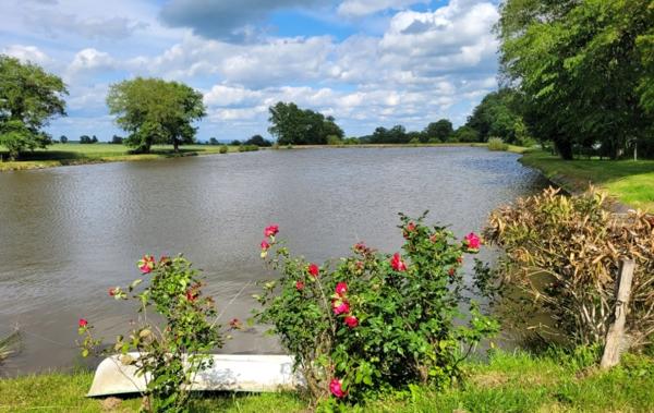 Vente Terrain Avec etang Huriel   