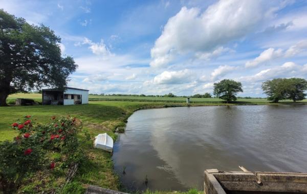 Vente Terrain Avec etang Huriel   