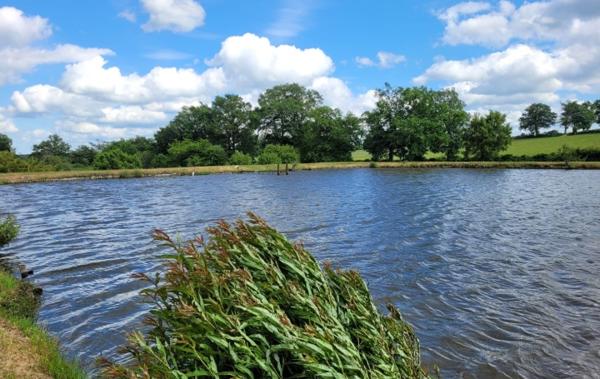 Vente Terrain Avec etang Huriel   