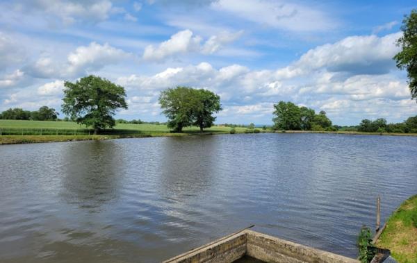 Vente Terrain Avec etang Huriel   