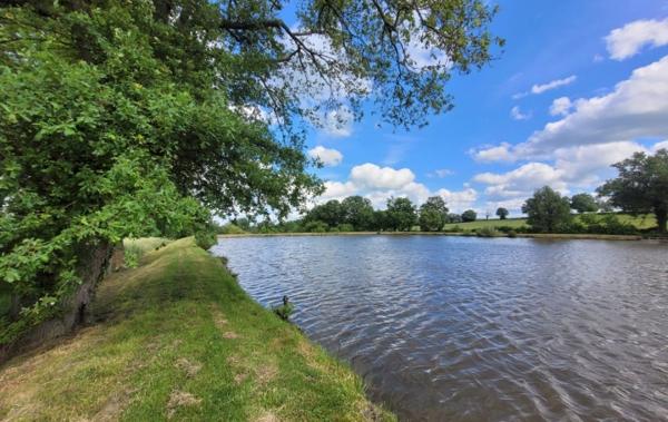 Vente Terrain Avec etang Huriel   