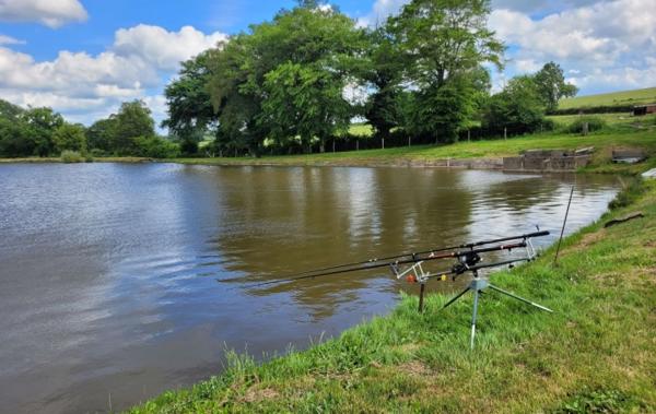 Vente Terrain Avec etang Huriel   