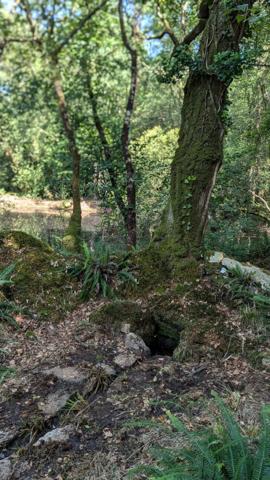 Maison de campagne avec prés, forêt privée, jacuzzi & potentiel de gîtes