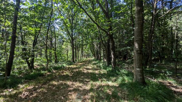 Maison de campagne avec prés, forêt privée, jacuzzi & potentiel de gîtes