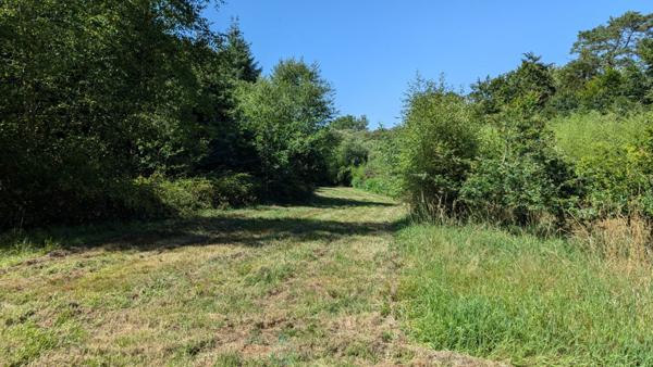 Maison de campagne avec prés, forêt privée, jacuzzi & potentiel de gîtes