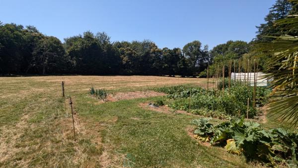 Maison de campagne avec prés, forêt privée, jacuzzi & potentiel de gîtes