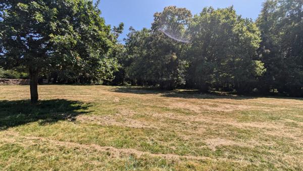 Maison de campagne avec prés, forêt privée, jacuzzi & potentiel de gîtes