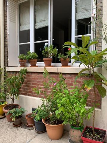 La campagne à Paris - Agréable deux-pièces entièrement refait à neuf, à deux pas du parc Georges-Brassens