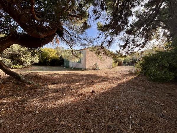 Maison à vendre 820 000 € Sainte-Marie-de-Ré 4 p 65 m² DPE