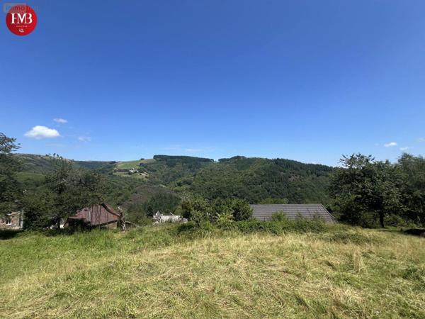 Terrain à Batir à vendre à Montsalvy dans le Cantal (15120), ref : 10627/968