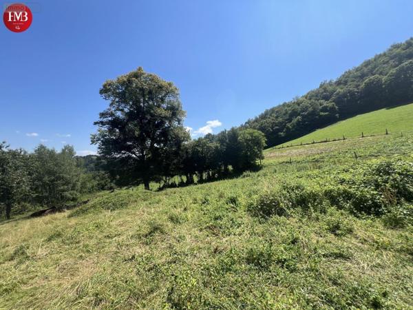 Terrain à Batir à vendre à Montsalvy dans le Cantal (15120), ref : 10627/968