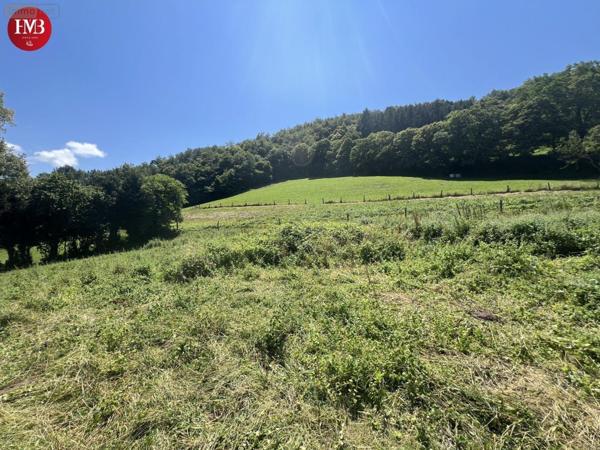 Terrain à Batir à vendre à Montsalvy dans le Cantal (15120), ref : 10627/968