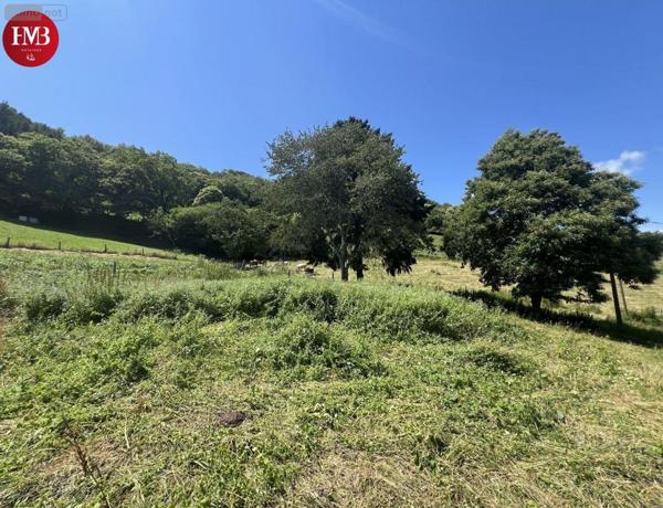 Terrain à Batir à vendre à Montsalvy dans le Cantal (15120), ref : 10627/968