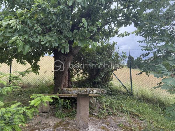 Cette charmante maison saura vous séduire par ses espaces généreux, son environnement paisible et son excellent état d’entretien.

Dès l’entrée, vous découvrirez un vaste hall agrémenté d’un poêle à bois, donnant accès à la chaufferie ainsi qu’à un grand garage.

À l’étage, un large couloir dessert une magnifique pièce de vie de près de 40 m² avec cheminée à insert bois, idéale pour partager de chaleureux moments en famille. Vous y trouverez également une cuisine entièrement équipée, deux belles chambres, une salle d’eau et un WC indépendant.

Le deuxième étage offre encore de beaux espaces avec une chambre, une mezzanine pouvant servir de bureau ou d’espace détente, une seconde chambre ainsi qu’une salle d’eau.

Le véritable atout de cette maison ? Son environnement calme et privilégié, sans vis-à-vis, tout en restant à proximité des commodités.

Parfaitement entretenue au fil des années, cette maison ne nécessite aucun travaux. Il ne vous reste plus qu’à poser vos valises et profiter pleinement des lieux.

 Pour plus d’informations ou organiser une visite, contactez-moi dès maintenant !