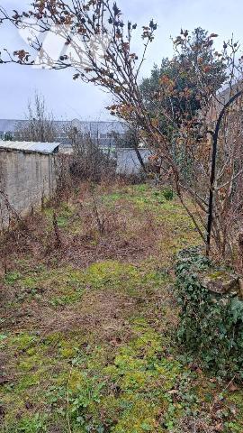 Maison avec cave et jardin