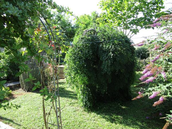 Vente de la nue-propriété d'une jolie maison à CIVRAY (86)