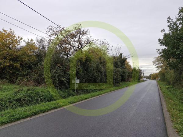 Terrain à LE BLANC (36300)