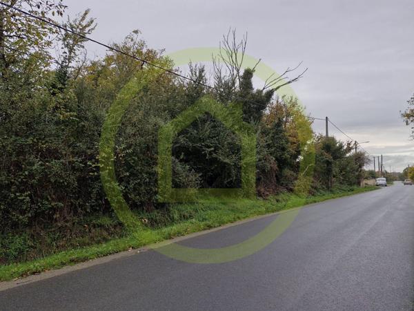 Terrain à LE BLANC (36300)