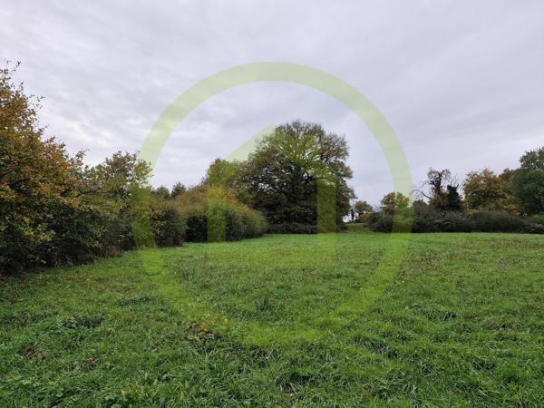 Terrain à LE BLANC (36300)
