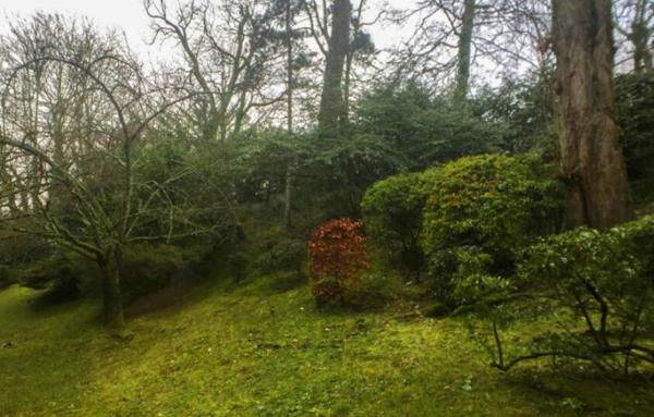 Meudon Bellevue - appartement 36 m2