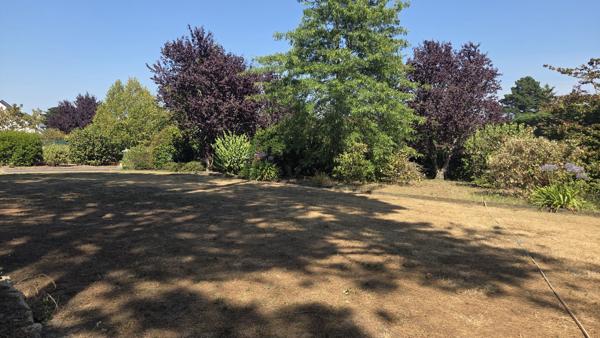 Terrain à GUERANDE (44350)