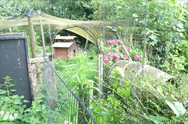 SAINT GEORGES BUTTAVENT- Pavillon sur sous-sol avec  accès de plain pied, sur vaste terrain avec dép