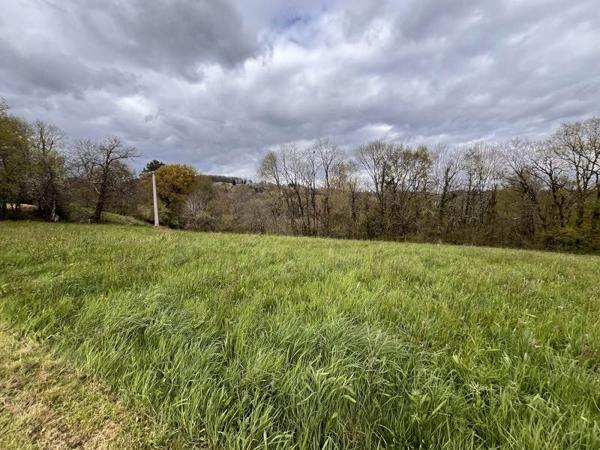 Terrain à vendre |  Sainte-Féréole |  2099 m²