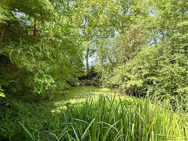 En exclusivité - A 5 min de Vic-Fezensac - Superbe Gasconne avec appartement et grange
