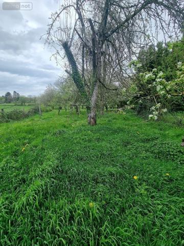 Maison à vendre à La Buxerette dans l'Indre (36140), ref : CG/304   
le bourg