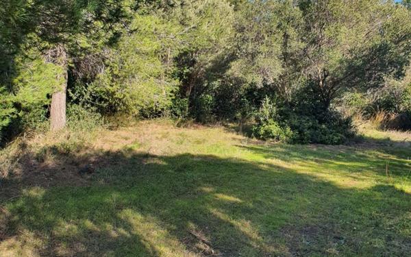 Terrain à vendre    Ollioules