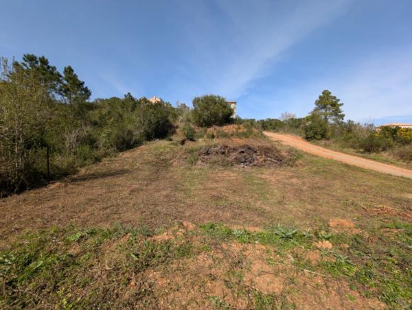 Terrain constructible 900m² à Poggio Mezzana