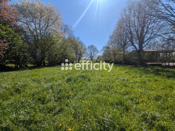 Terrain
        
        - 2241 m² 484 000 € *