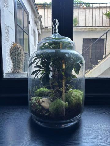 PROPRIÉTÉ BOURGEOISE DE CENTRE VILLE