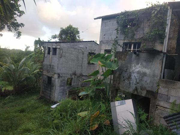 lot de  2 maisons en construction a vendre au gros-morne