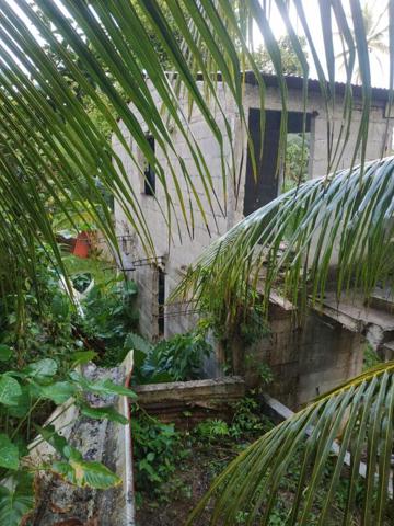 lot de  2 maisons en construction a vendre au gros-morne