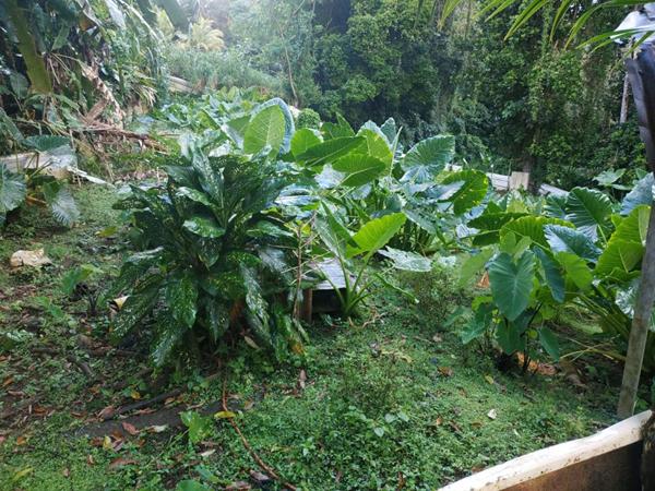 lot de  2 maisons en construction a vendre au gros-morne